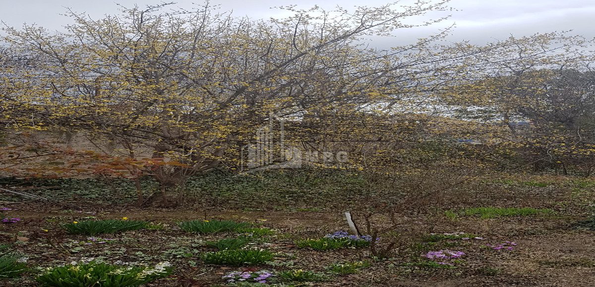 იყიდება სამოსახლო მიწის ნაკვეთი, სვანეთის უბანი