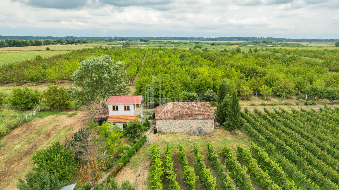 For Sale Land Kakheti