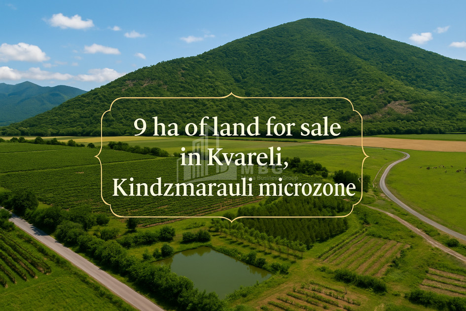 For Sale Land Kvareli Kakheti