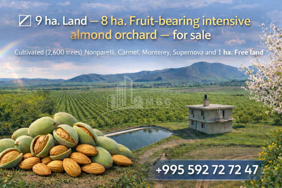 For Sale Land Bolnisi Kvemo Kartli