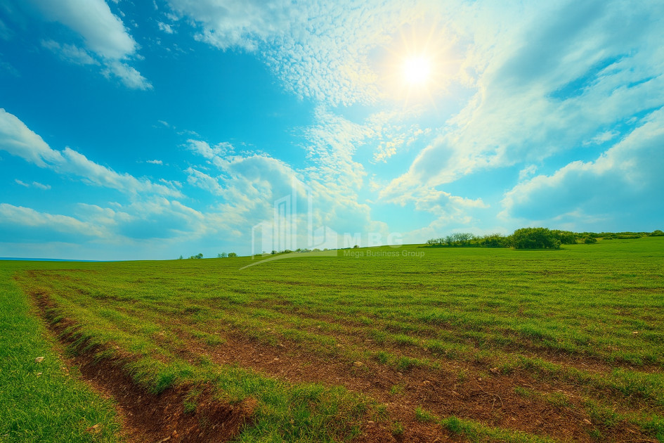 Продается Земля Душети Мцхета   Мтианети