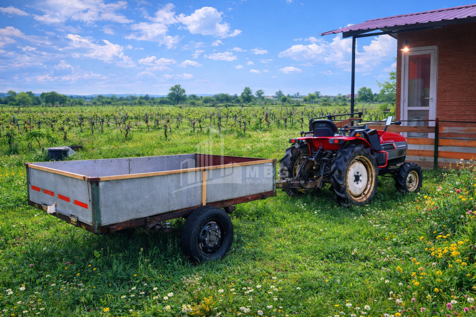 Продается Земля Имерети