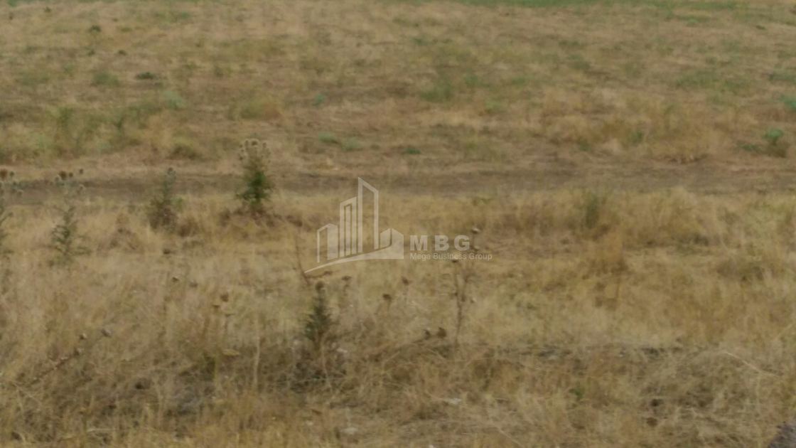 For Sale Orchards Land, in Kumisi