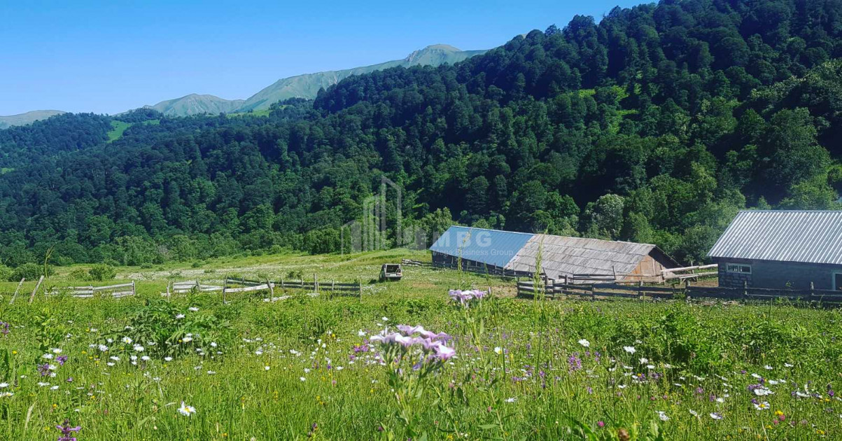 For Sale Agricultural Land, in Tsikhisjvari