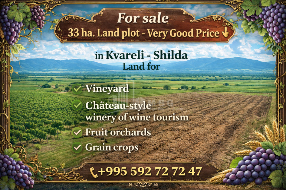 For Sale Land, Kvareli, Kakheti