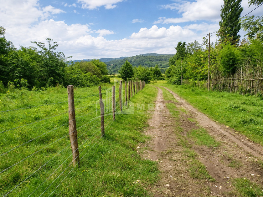 For Sale Orchards Land In Abasha