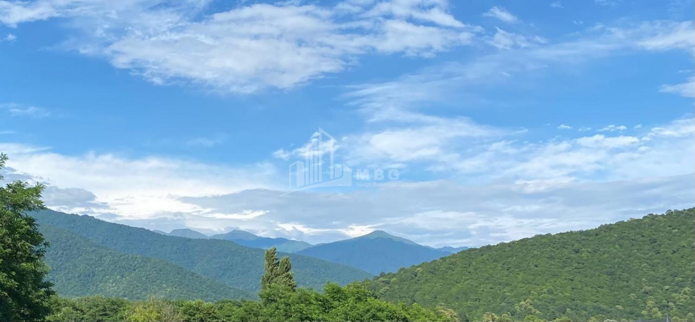 იყიდება ბიზნესი კომერციული ფართი თელავი კახეთი