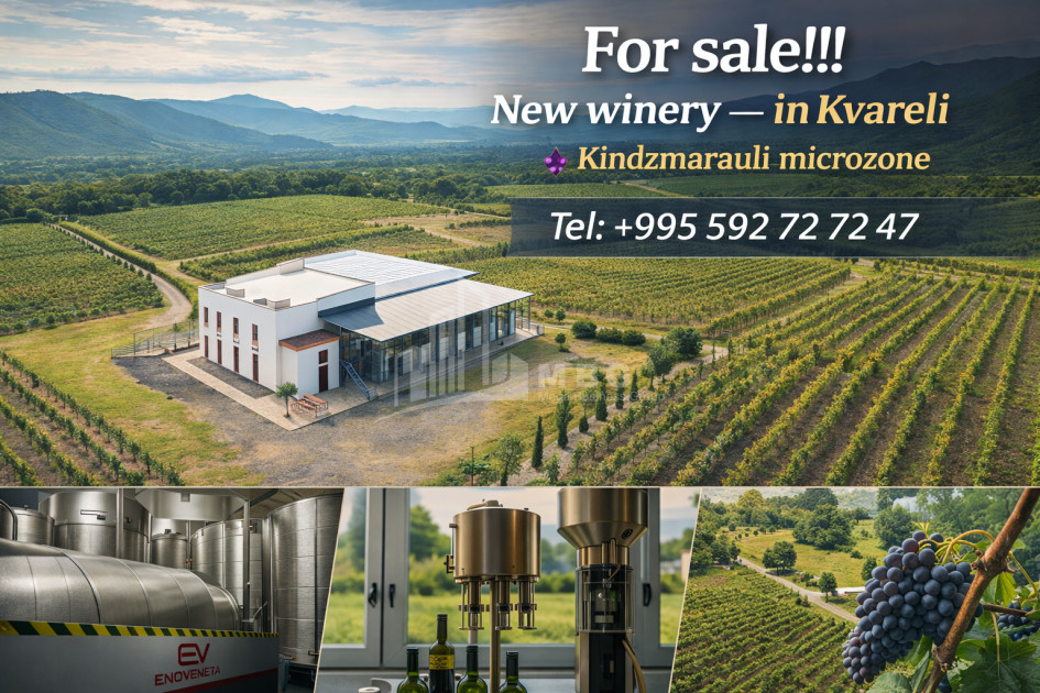 For Sale Commercial Kvareli Kakheti