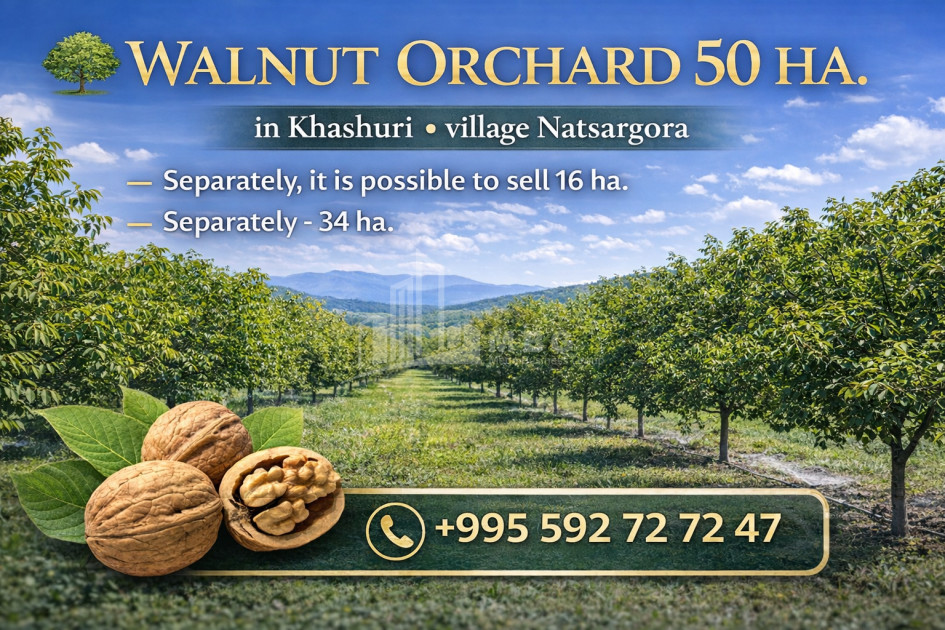Продается Фруктовые сад Земля В Хашури