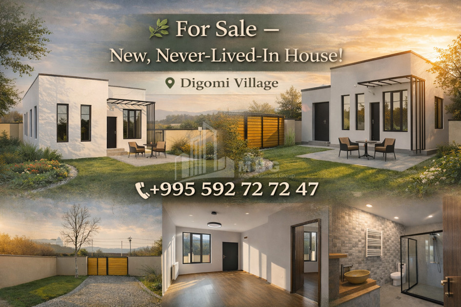 For Sale House Villa Village Dighomi Saburtalo District Tbilisi