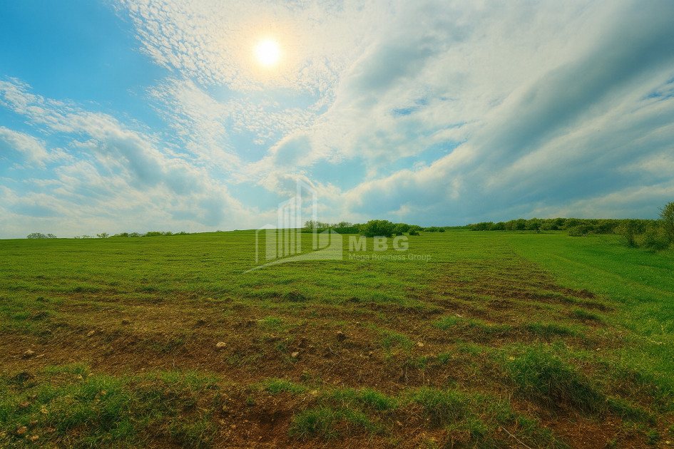 Продается Земля Душети Мцхета   Мтианети