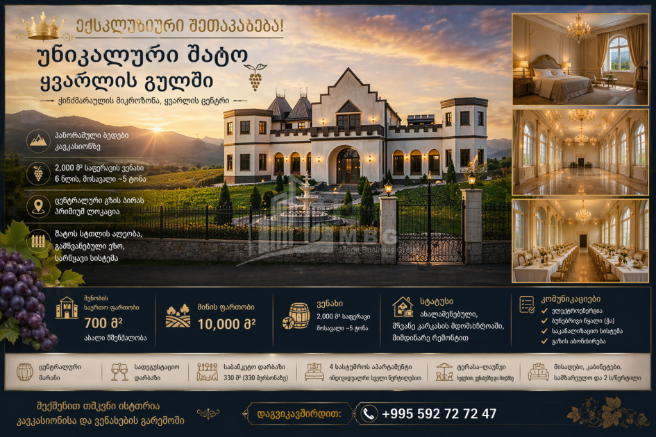 Продается Замок / Винный завод Коммерческий В Кварели