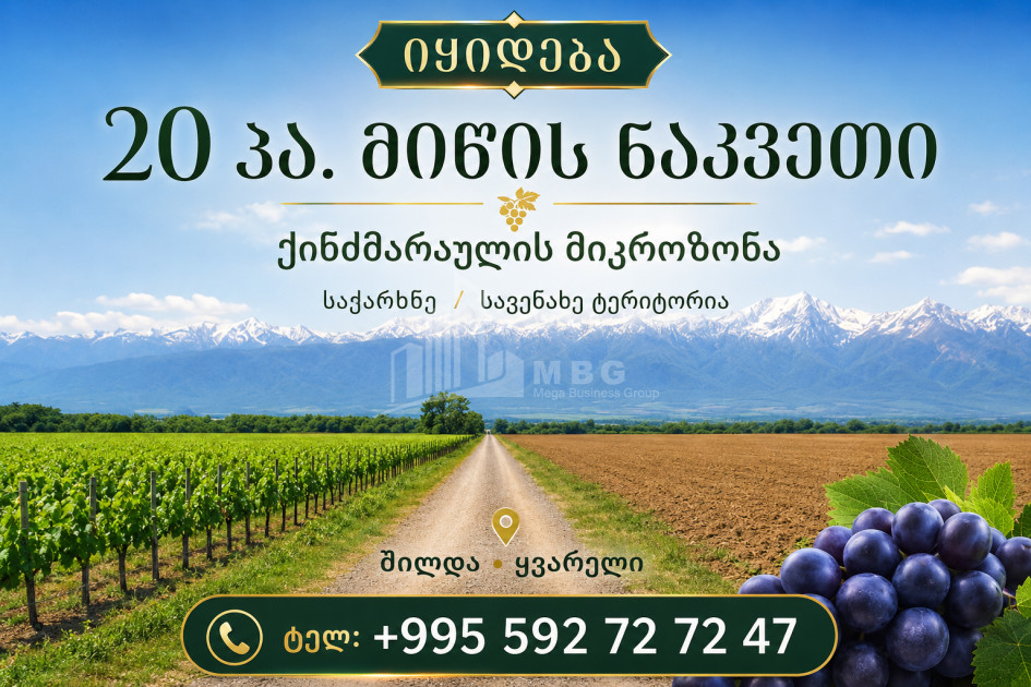 For Sale Vineyard - Chateau Land In Eniseli, Kvareli