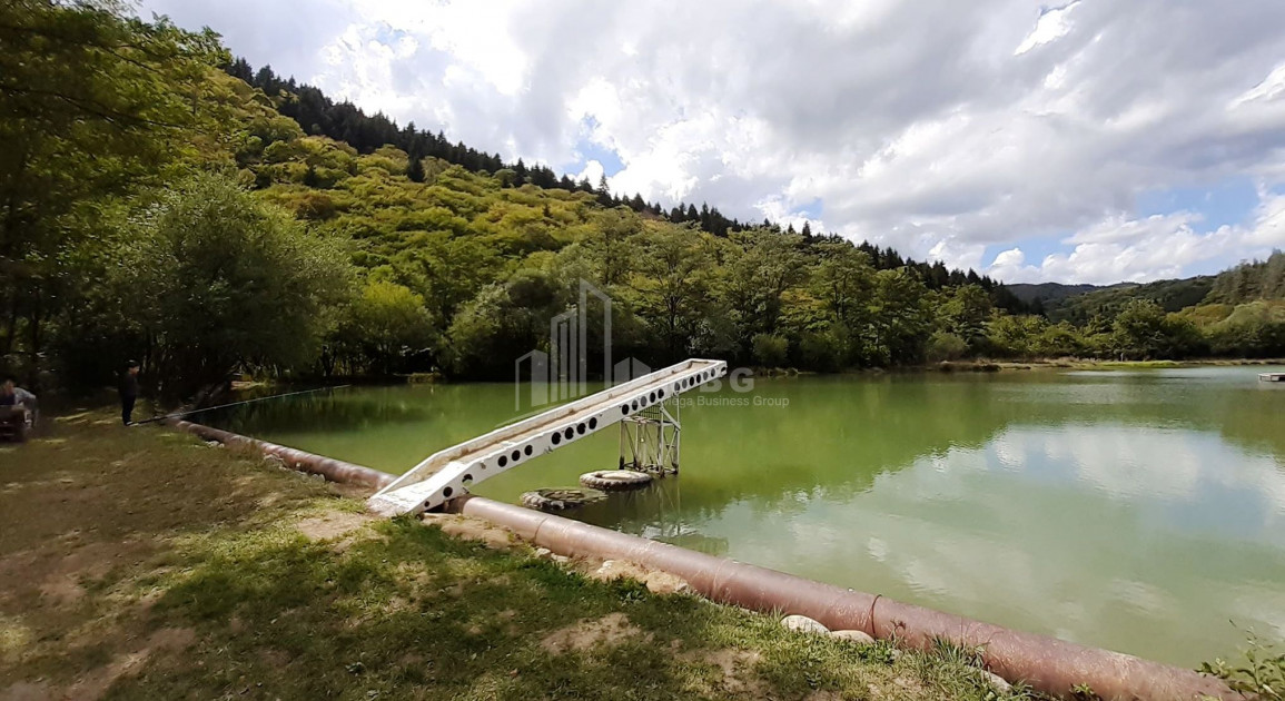 Продается Дачные Земля, в  Манглиси