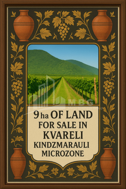 For Sale Land Kvareli Kakheti