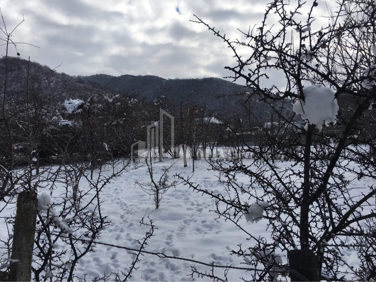 Продается Земельный Земля, в Булачаури