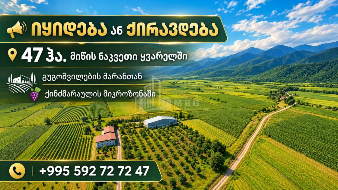 For Sale Vineyard - Chateau Land In Kvareli