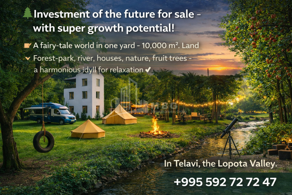 Business/Investment for Sale Leisure _ Entertainment complex Commercial In Telavi