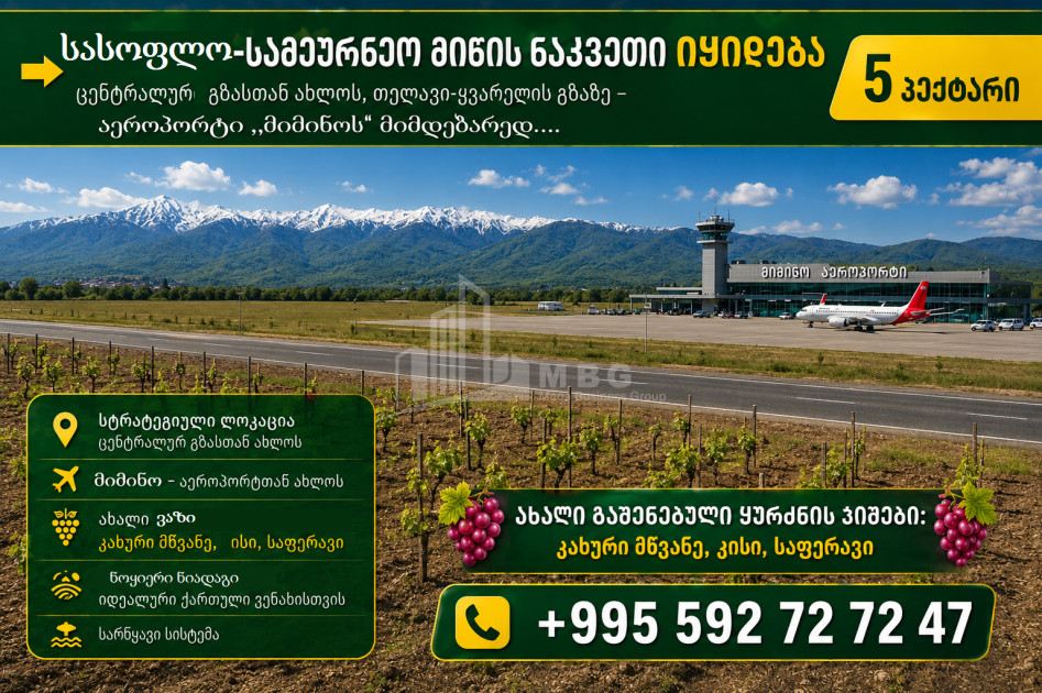 For Sale Vineyard - Chateau Land In Telavi