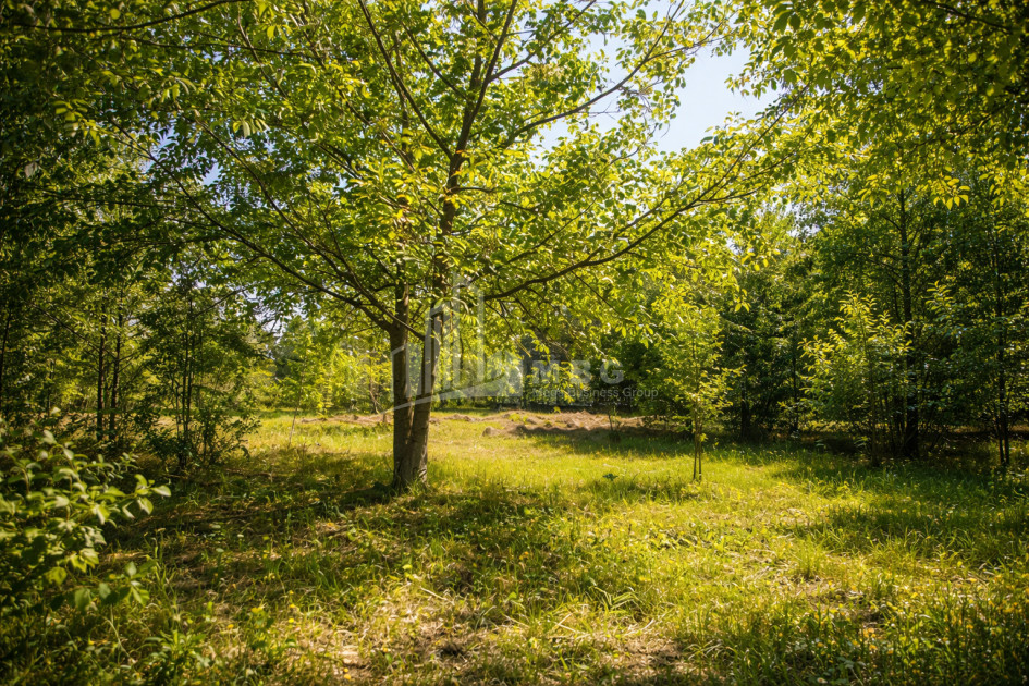 For-Sale-Land-Mchadijvari-village-Dusheti-Mtskheta---Mtianeti