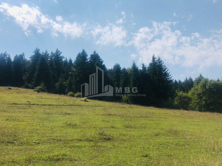 For Sale Land on the Sun. Borjomi Samtskhe   Javakheti