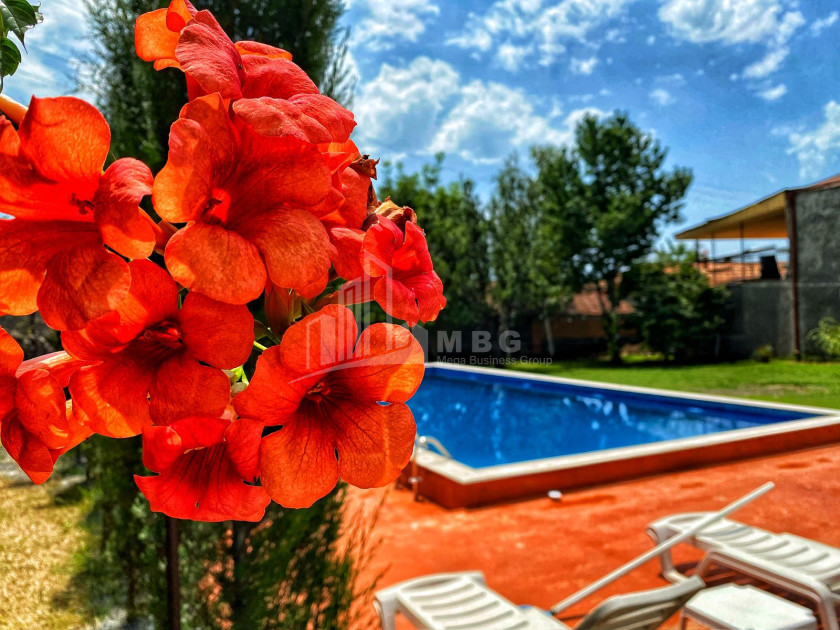 For Sale Commercial Kvareli Kakheti