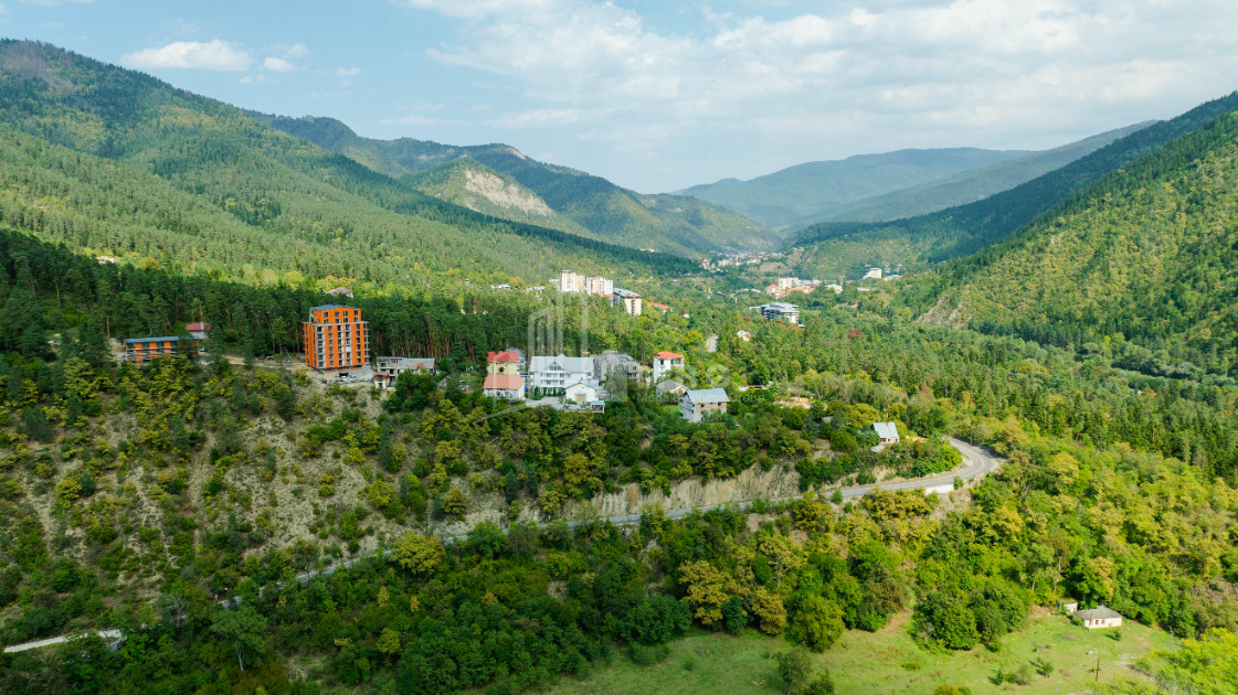 იყიდება კომერციული ფართი ლიკანი ბორჯომი სამცხე   ჯავახეთი