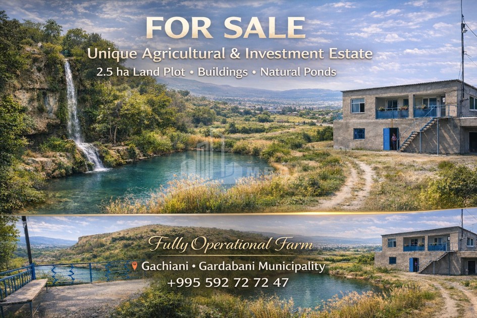Продается Озеро - Рыболовное хозяйство Земля В Деревния Гачиани, Гардабани