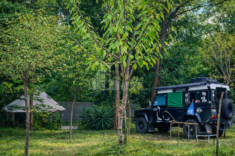 Business for sale Commercial Telavi Kakheti