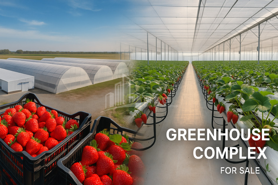 For Sale Land Marneuli Kvemo Kartli