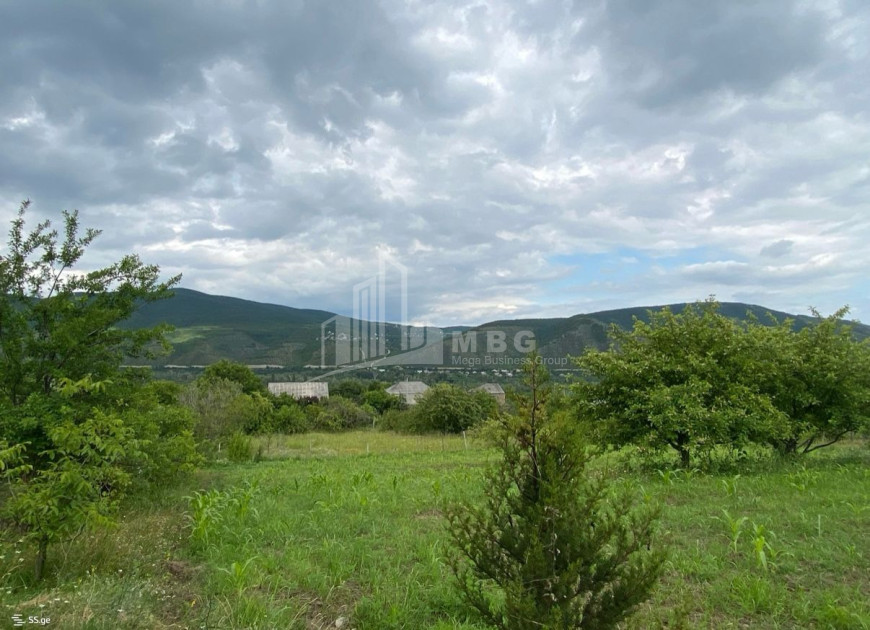 For Sale Country Land In Lamiskana, Kaspi