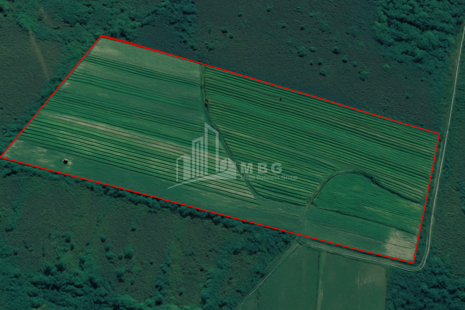 For Sale Land Kvemo Shukhuti Lanchkhuti Municipalities of Guria