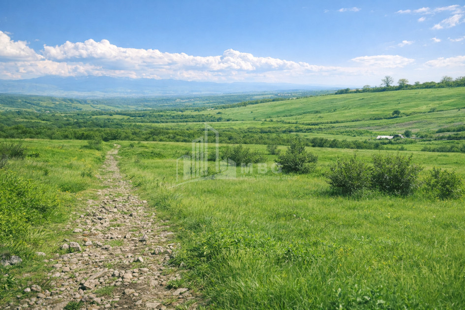 For Sale Agricultural Land In Samtatskaro, Dedoplistskaro