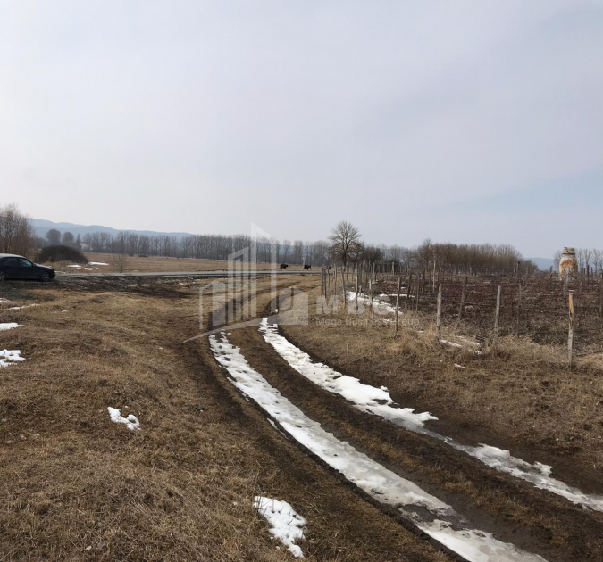 For Sale Country Land, in Ghuleli
