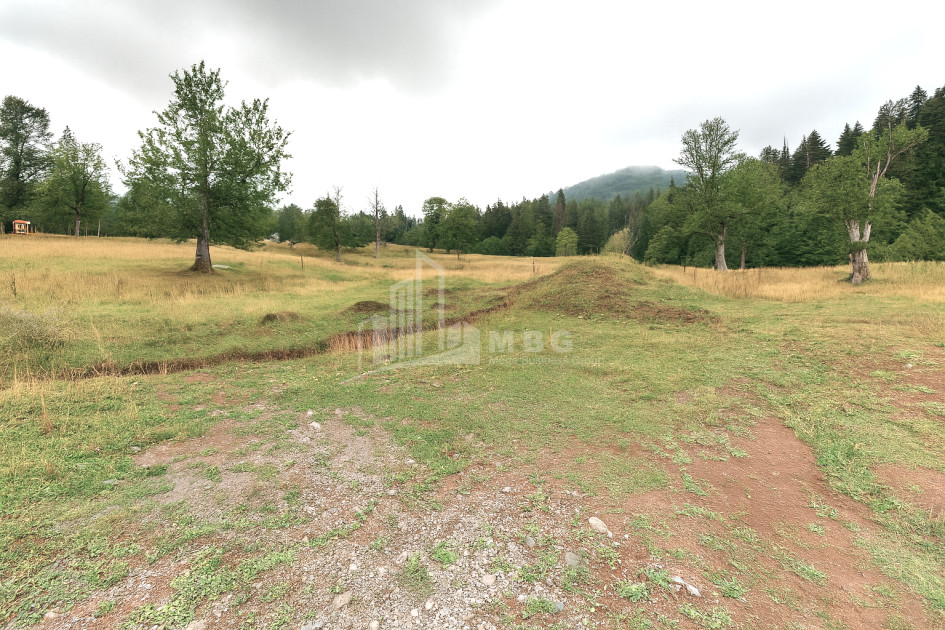 For Sale Land Bakuriani Borjomi Samtskhe   Javakheti