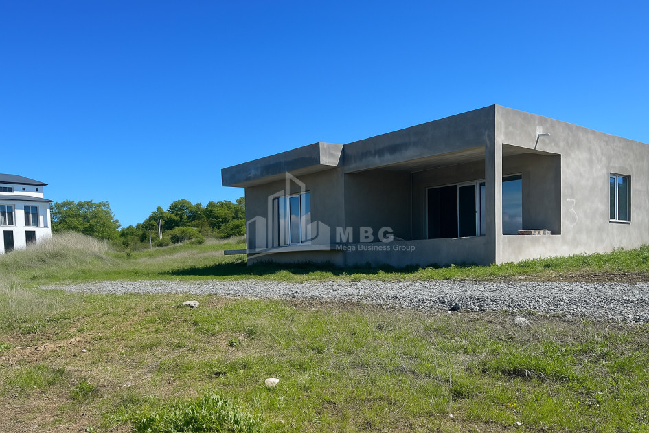 For Sale House Villa Bazaleti Dusheti Mtskheta   Mtianeti