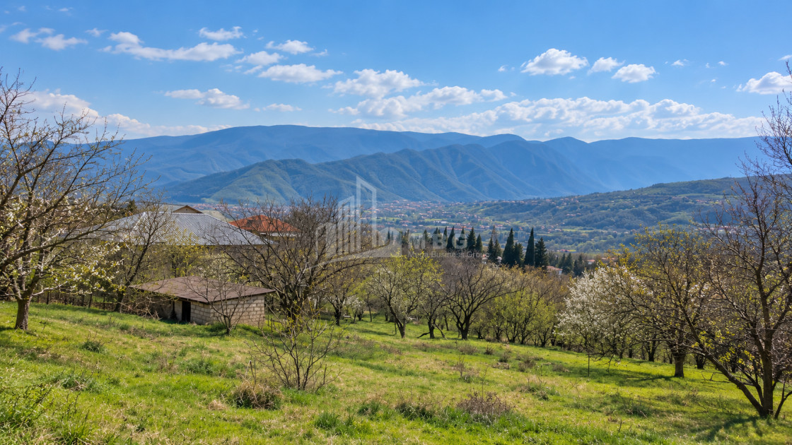 For Sale Country Land In Tsitsamuri, Mtskheta