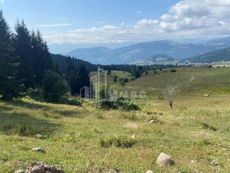 For Sale Country Land, in Khulo