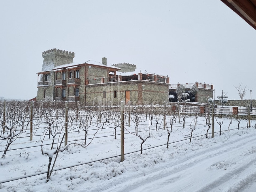 For Sale Commercial Kvareli City Kvareli Kakheti