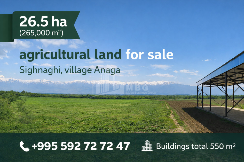 For Sale Land Old Anaga Signagi Kakheti