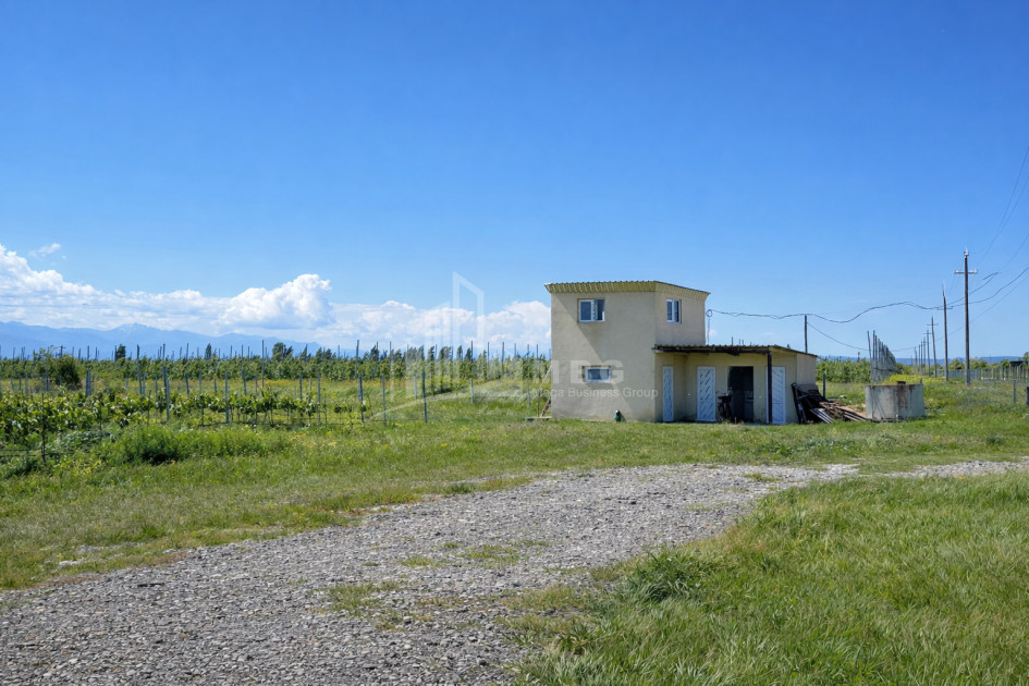For Sale Vineyard - Chateau Land In Gori