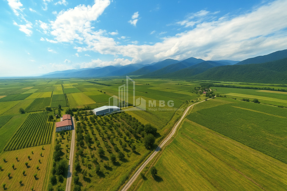 For Sale Land Kvareli Kakheti