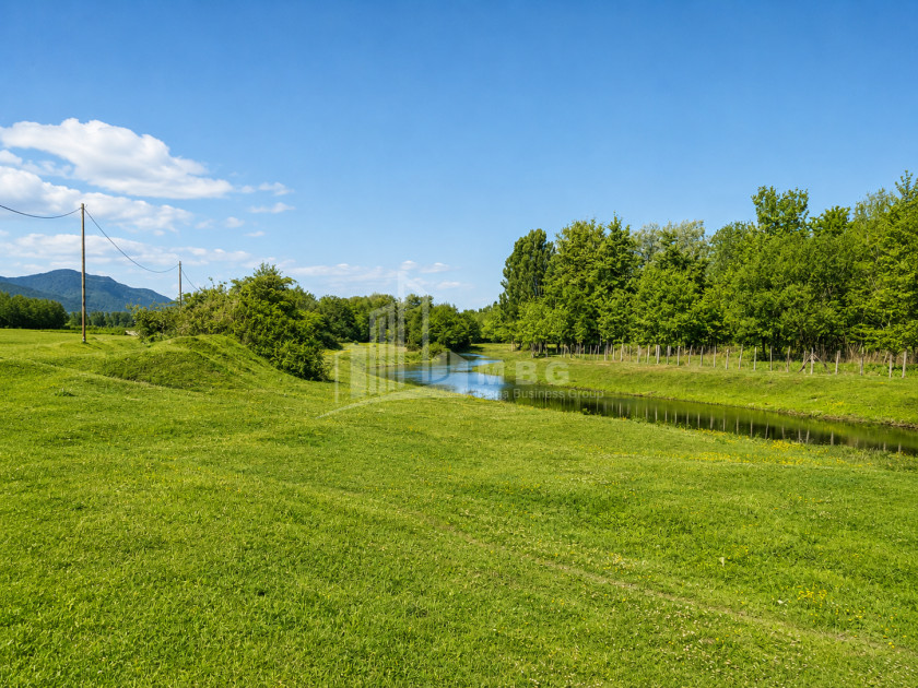 For Sale Orchards Land In Abasha