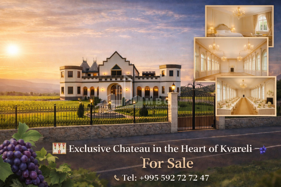 For Sale Chateau / Wine factory Commercial In Kvareli