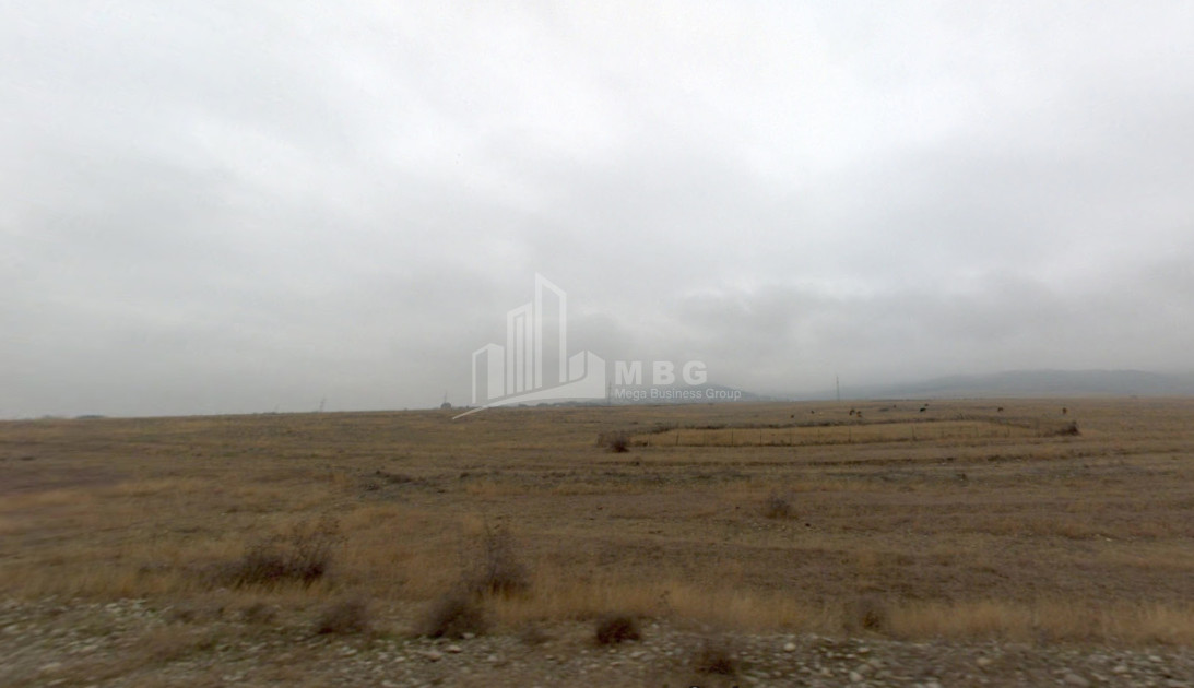 For Sale Land Didi Lilo Samgori District Tbilisi