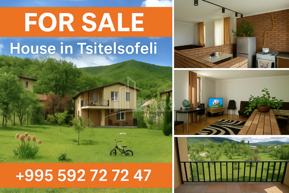For Sale House Villa Tsilisofeli village Dusheti Mtskheta   Mtianeti
