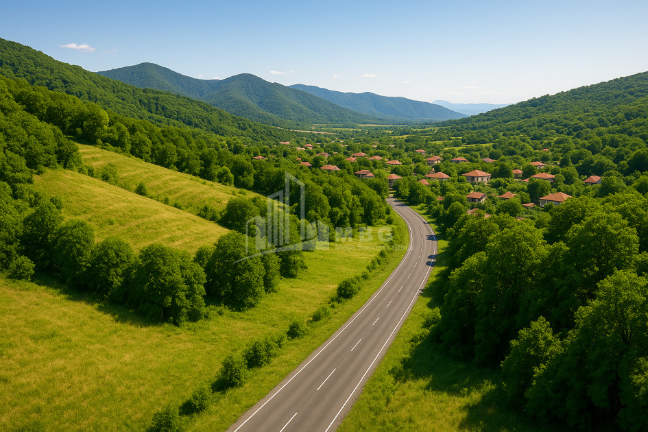 For Sale Land Cheremi Gurjaani Kakheti