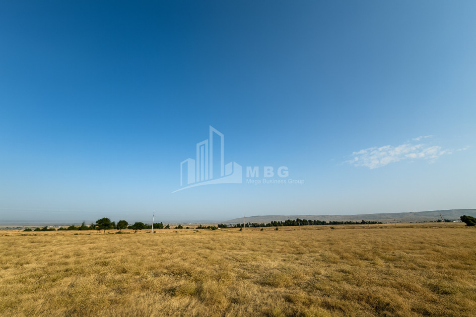For Sale Land Kvemo Kartli
