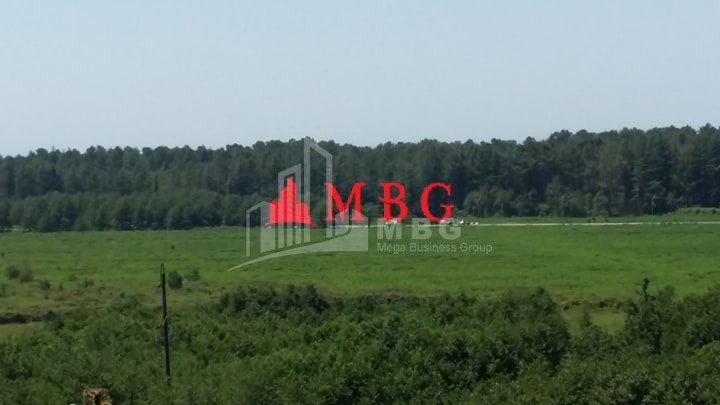 For Sale House - Villa, in Kvemo Natanebi