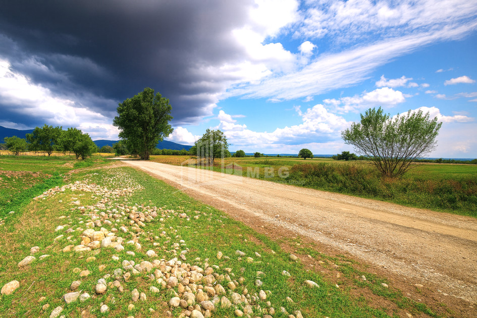 For Sale Vineyard - Chateau Land, in Manavi